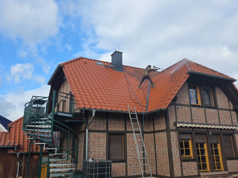 image_1